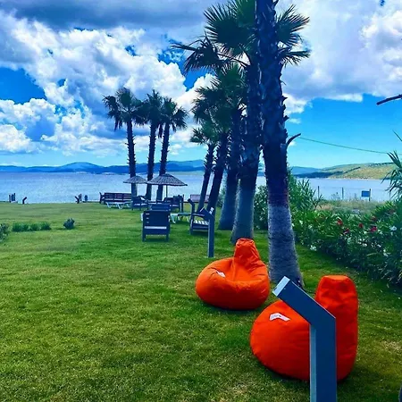 Olive Karaburun (Izmir)